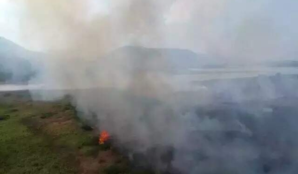 Risco de incêndios faz ministério decretar estado de emergência em MS