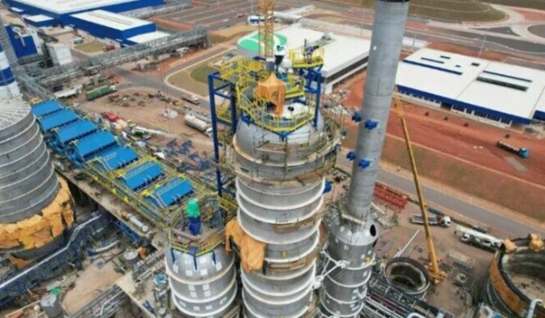 MS pode virar rei do papel higiênico e afins