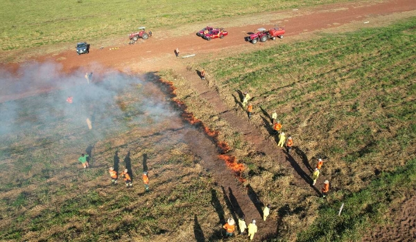 Portaria autoriza a contratação de 90 brigadistas de combate ao fogo em MS