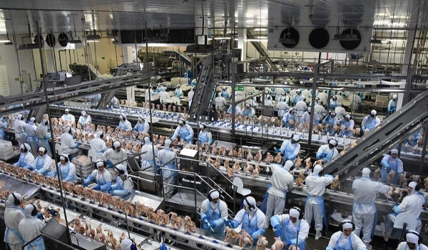 Indústria projeta 14,5 mil empregos e promete qualificação