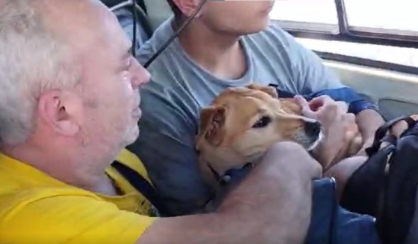 Crianças, idosos e até cão caramelo são resgatados em helicóptero de MS