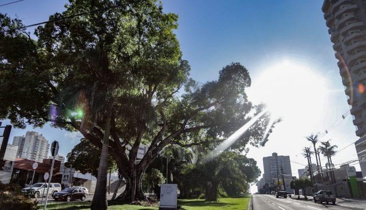 Calor e chuvas intensas marcam este domingo em MS