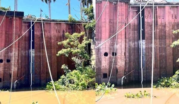 Com previsão de seca histórica no Pantanal, população pode enfrentar falta d’água, aponta agência