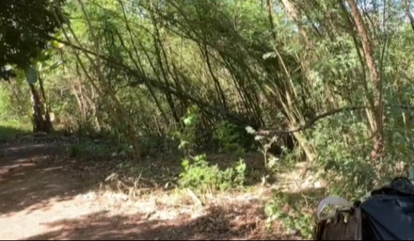 Jovem suspeita de mandar decapitar adolescente é presa