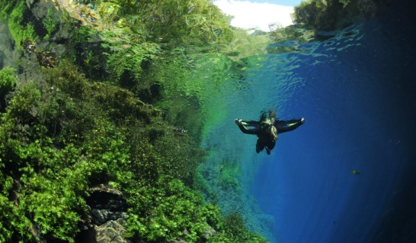 Turismo de MS promove evento de imersão sobre seus destinos turísticos em SP, maior mercado emissivo de turistas para MS