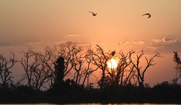 Mato Grosso do Sul tem previsão de sol e variação de nebulosidade nesta quinta-feira