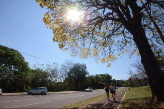 Domingo terá pancadas de chuva em regiões isoladas do Estado