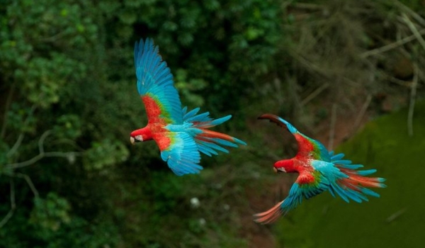 MS leva capacitação sobre seus destinos turísticos a profissionais do setor nos 30 anos de BNT Mercosul