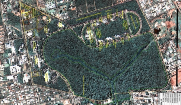 Pelo desmatamento Parque, Governo vai ao TJ para validar sentença de “juíza intrusa”