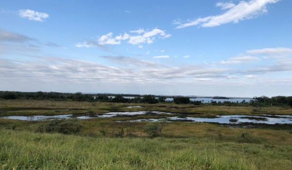 Workshop da UEMS discute o enfrentamento climático com captura de carbono em reserva no sul do Estado