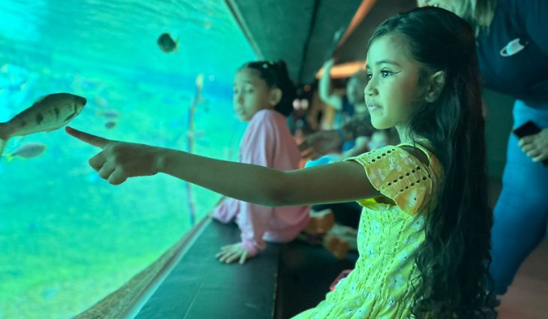 Em horário especial, Bioparque Pantanal estará de portas abertas no feriado de Corpus Christi