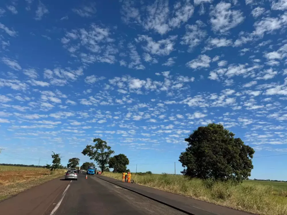 Asfalto da Estrada do 21 é concluído com 45 túneis para animais silvestres 