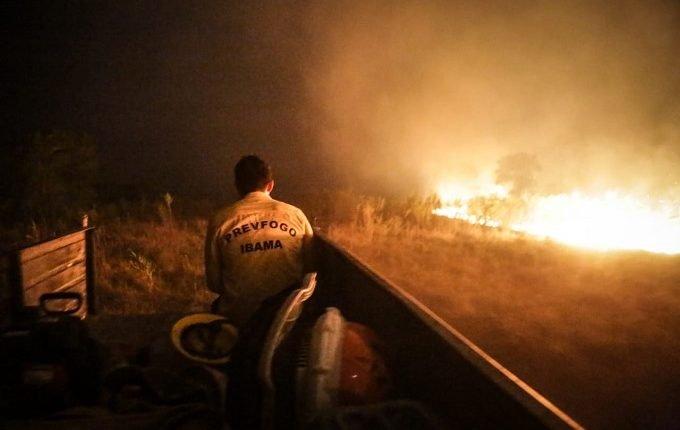 Projeto equipara desmatamento no Pantanal a danos à Mata Atlântica