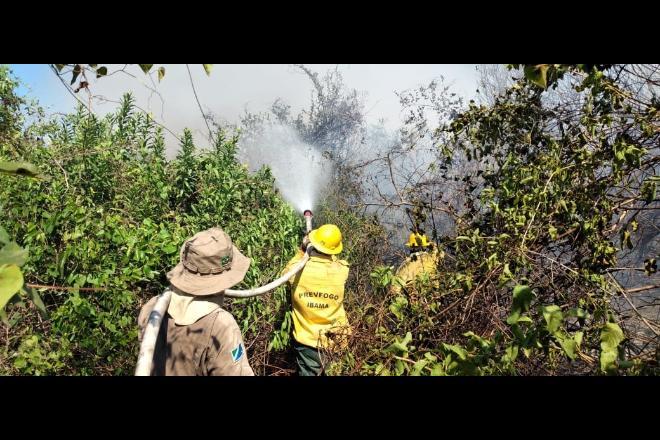 Área de refúgio dos animais vira novo foco de incêndio no Pantanal de MS