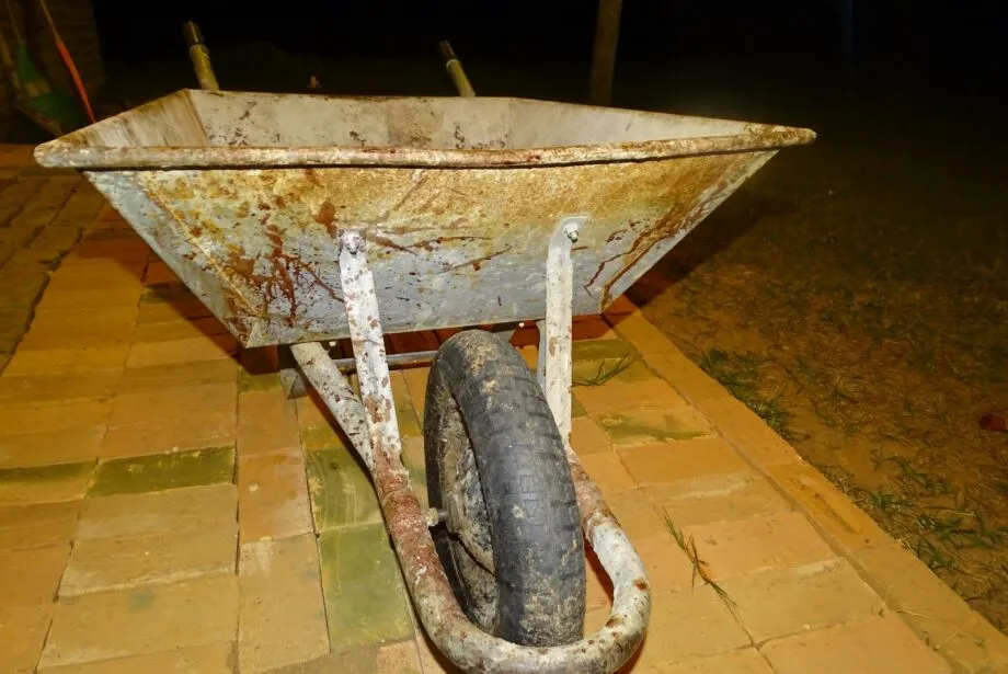 Caseiro e sobrevivente tem filha juntos e caso ganha detalhes