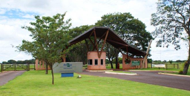 Embrapa Gado de Corte vai leloar animais em pregão eletrônico