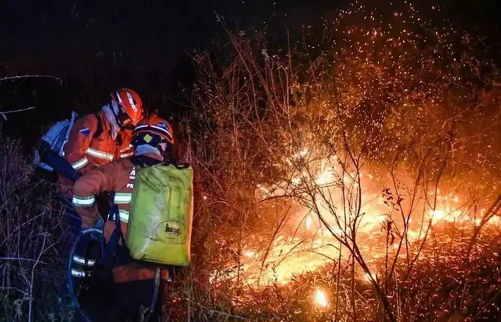 Força Nacional envia 82 bombeiros para reforçar combate ao fogo no Pantanal 