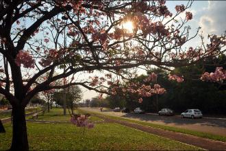 Sol prevalece no domingo de eleição em todo o MS