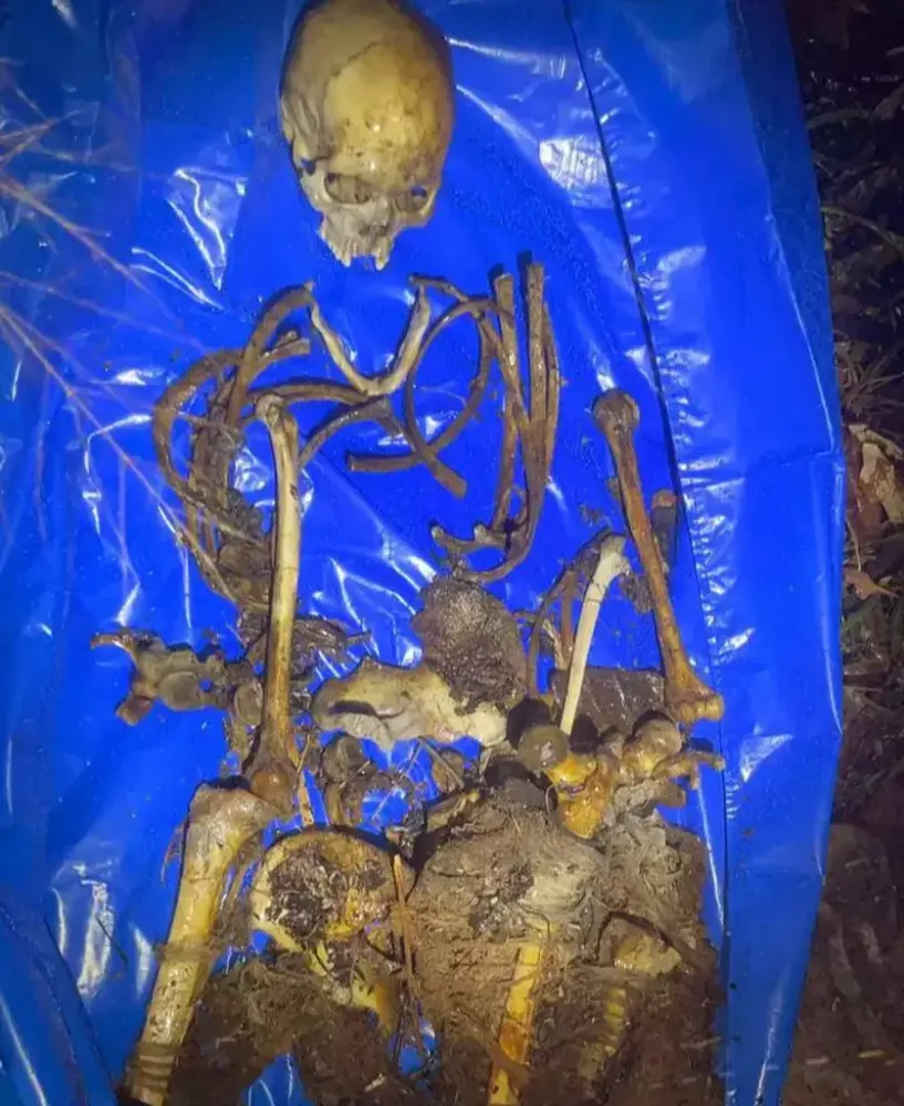 Trabalhadores encontram ossada humana em fazenda