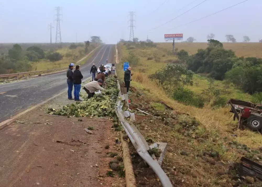 Carga de abacaxis é saqueada e até banda de boi morto levada na BR-262