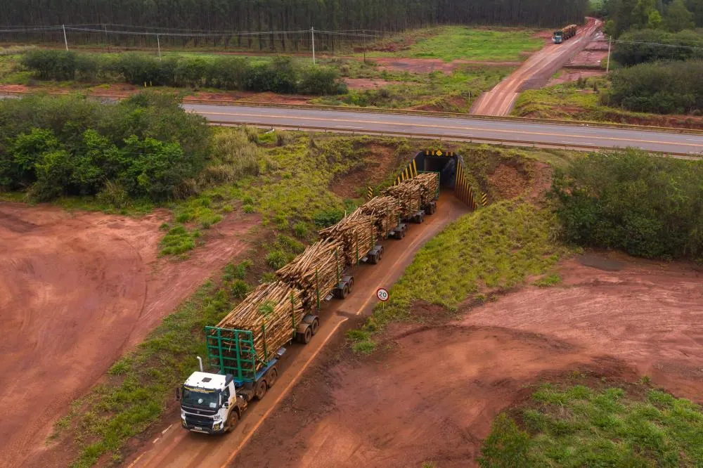 Fábrica da Suzano vai elevar exportações de MS em R$ 5 bilhões e impactará PIB em 3,5%