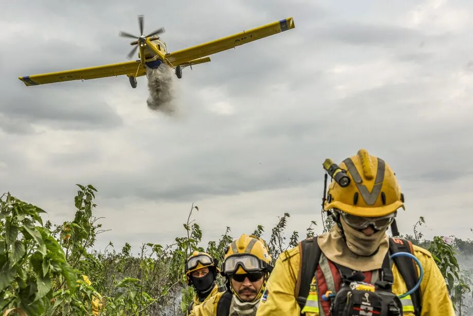 Incêndio no Pantanal consumiu R$ 204,8 milhões entre prejuízos e ações de combate