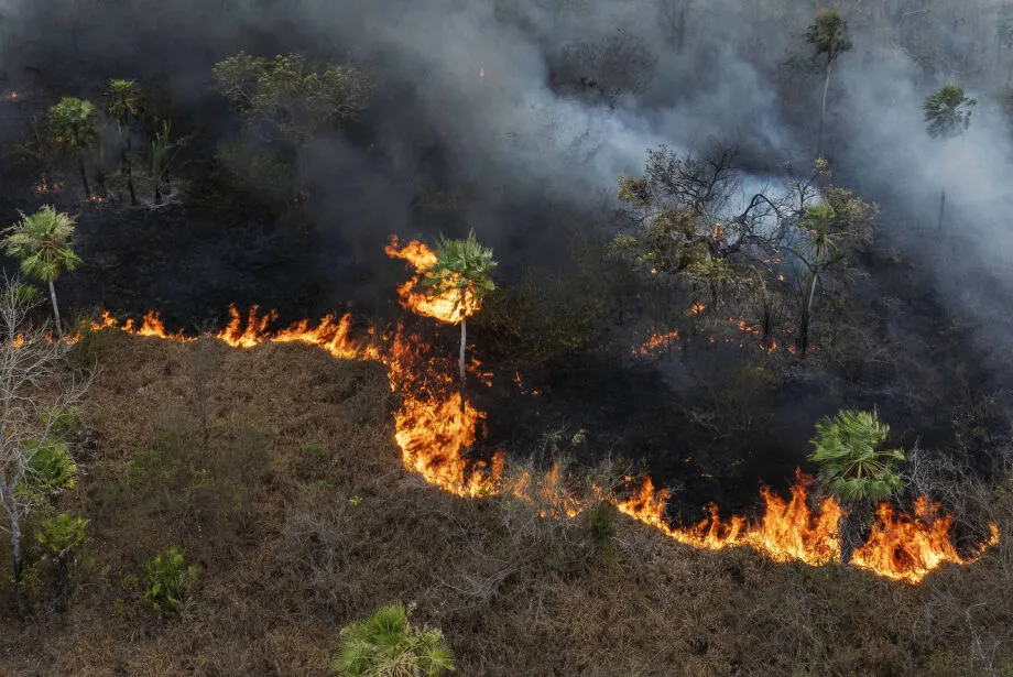 Fogo que começou em caminhão segue se espalhando no Pantanal