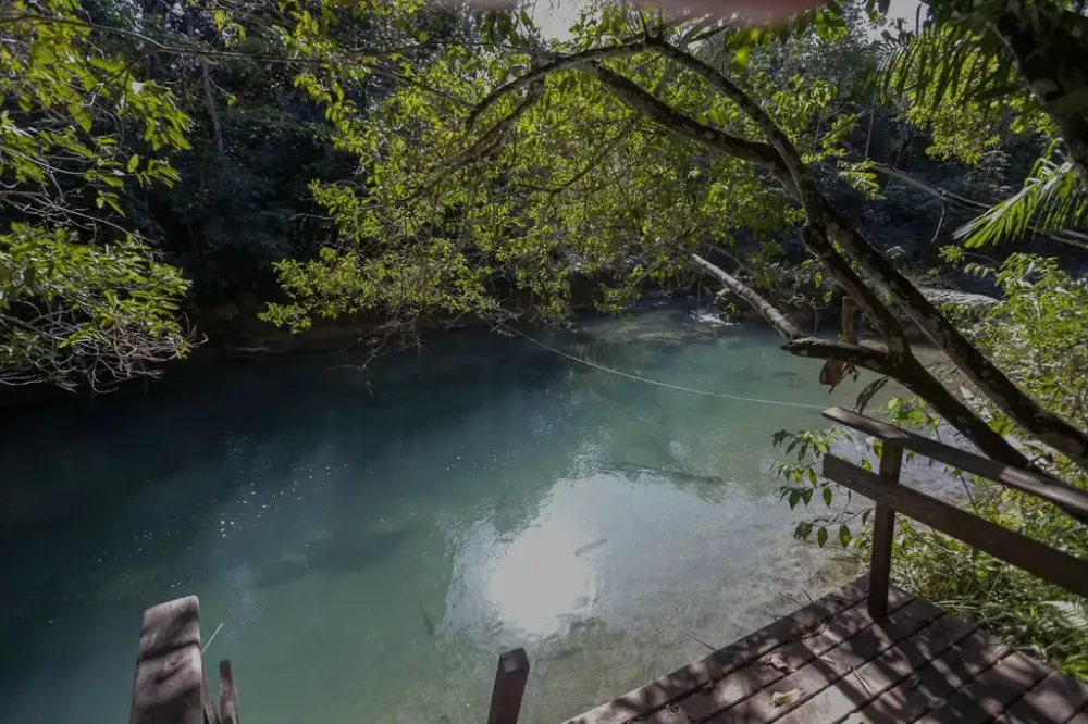 Imasul contesta análise que mostrou agrotóxicos em bacia hidrográfica de Bonito