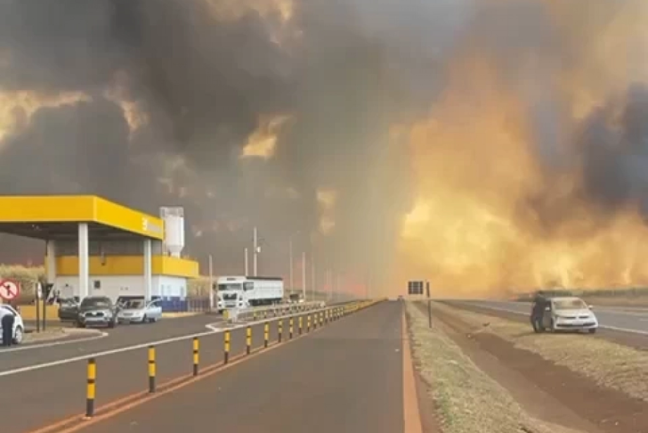 Semana de queimadas teve saltos de 338% em SP e 236% em MT nos registros de incêndio