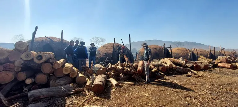 PF e MPT resgatam 13 pessoas em condição de trabalho escravo em MS