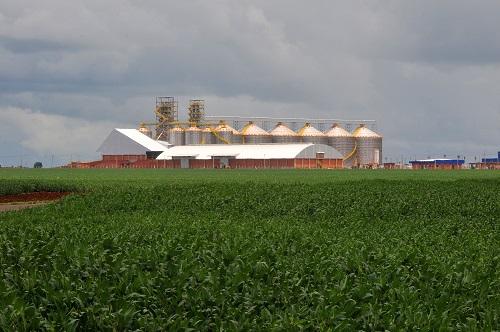 MS tem 12 cidades entre as 100 mais ricas do agronegócio