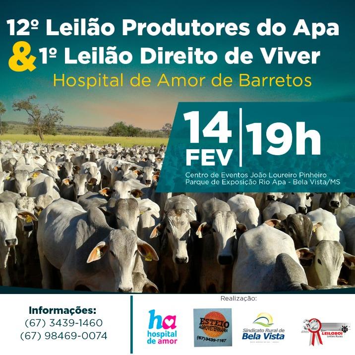 Rodada de leilões de 2019 começa beneficiando o Hospital de Amor de Barretos