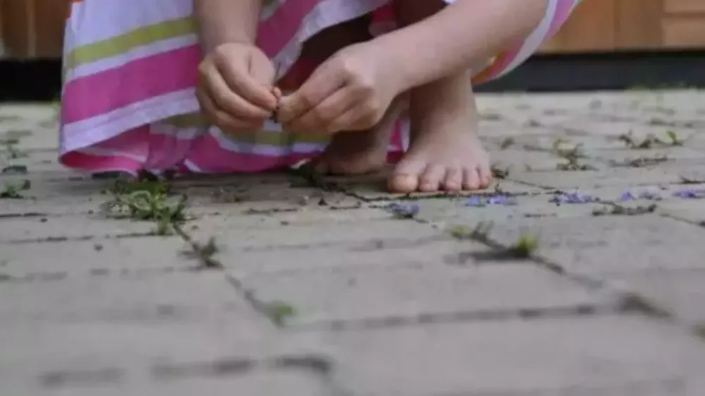 Avôdrasto é preso após estuprar menina de 5 anos enquanto dormia em MS