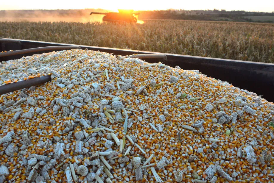 Estiagem provoca prejuízos de R$ 10,3 bilhões a agricultores