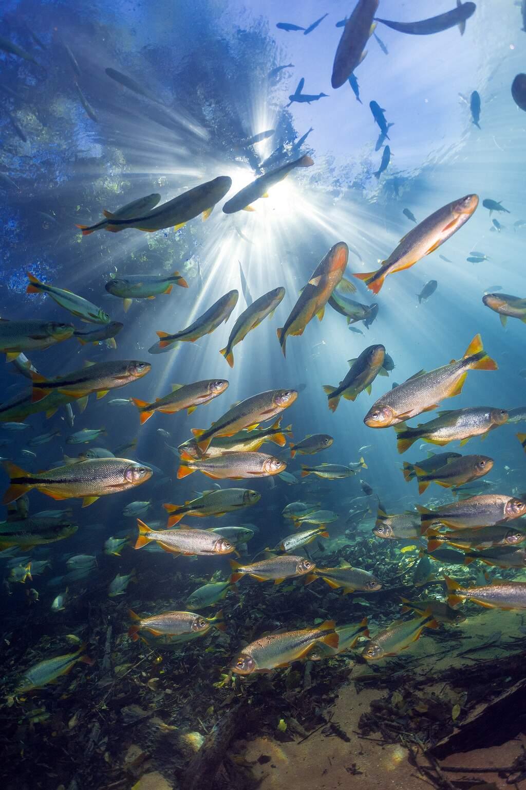 Concurso de fotos expõe belezas do turismo de natureza em Jardim