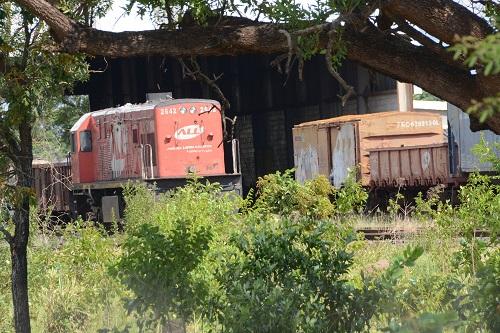 Governo quer elevar para 31% transporte de carga por ferrovias