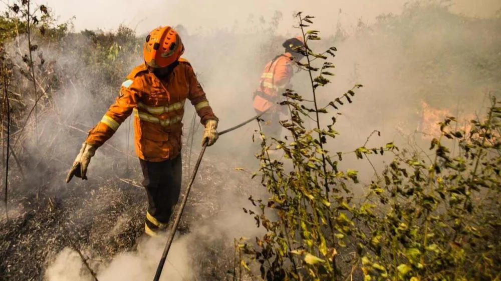 Dia do Pantanal: ‘Reconstrução’ do bioma passa por punição de quem ateou ou se aproveitou de incêndios