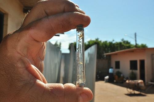 Primeira morte por dengue é confirmada em MS