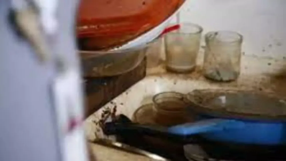 Abandonada, idosa de 83 anos é encontrada em casa sem comida e insalubre