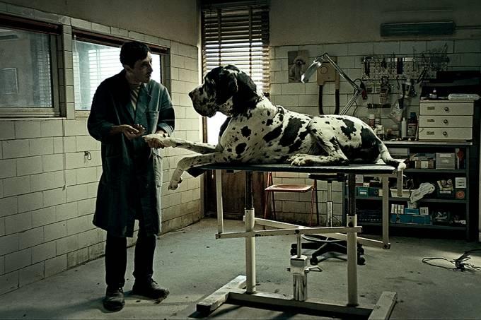 ‘Dogman’: drama trágico sobre o dono de uma pet shop italiana