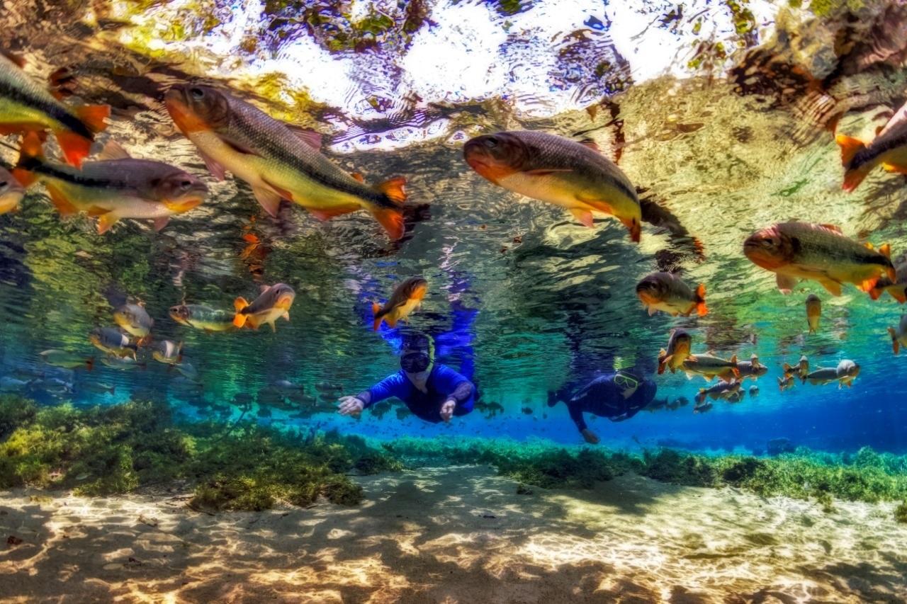 Rio da Prata tem belezas premiadas internacionalmente