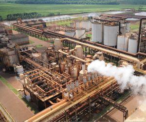 Venda da Usina São Fernando poderá ser retomada neste ano