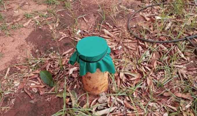 Prefeitura de Naviraí confirma 8 casos de dengue e realiza mutirão contra o Aedes aegypti