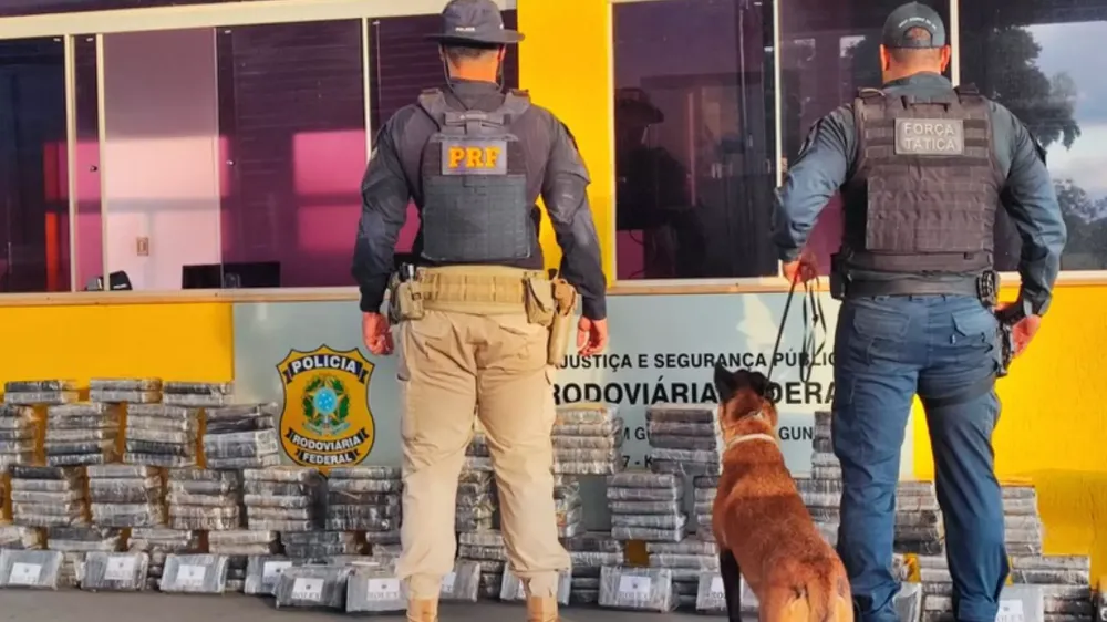 VÍDEO: Cocaína é apreendida em Guia Lopes da Laguna em meio a carga de mudança para SP