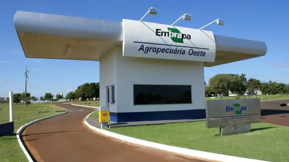 Soja: Embrapa de MS apresenta resultados de experimento desenvolvido ao longo de 30 anos