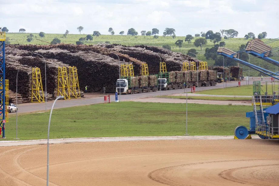 Mato Grosso do Sul pode ter a sexta megafábrica de celulose 
