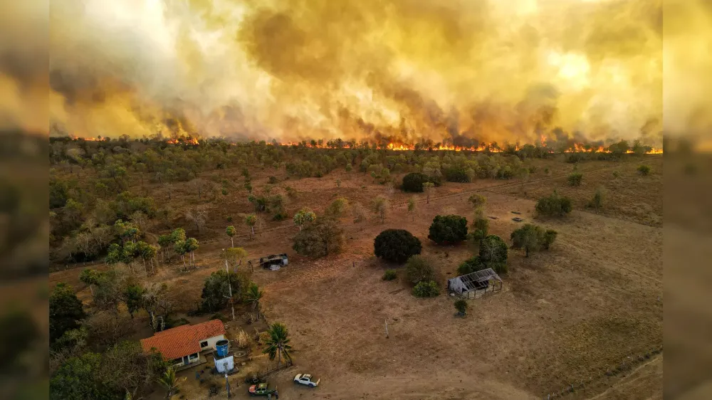 Mais de 2 milhões de hectares de MS foram devastados pelo fogo em 2024, aponta relatório do Cemtec