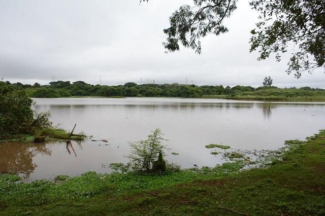 Em duas décadas, lagos do Amor e de parque podem desaparecer