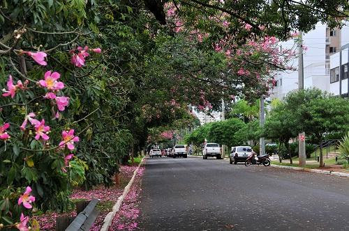 Outono começa hoje e previsão é de frio na casa dos 3ºC