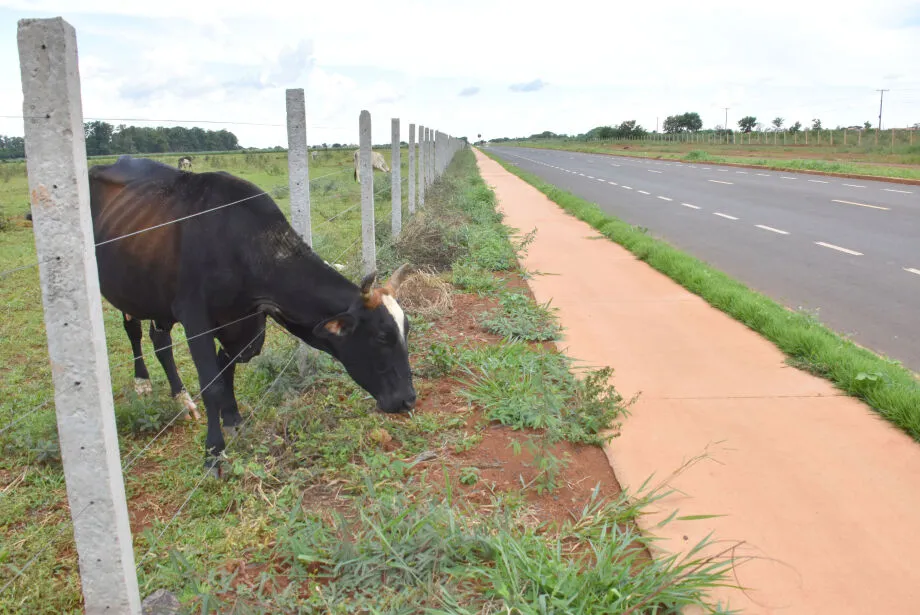 Obra de R$ 84 milhões leva asfalto a amigo e vizinho de Lula em MS 